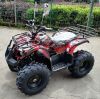 Квадроцикл GreenCamel Атакама T120 (48V 800W R8 Цепной привод) Армейский-красный