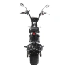 Электроскутер SkyBoard Baikal BR50-3000 PRO MAX 