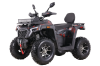 Бензиновый квадроцикл MOTAX GRIZLIK T250 PRO красный