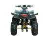 Квадроцикл бензиновый MOTAX GRIZLIK RAPTOR D125 желтый